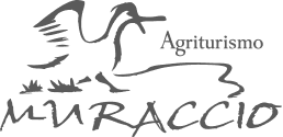 Muraccio